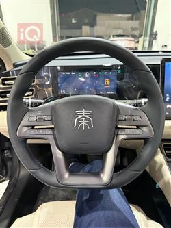 بي واي دي كوين L DM-i